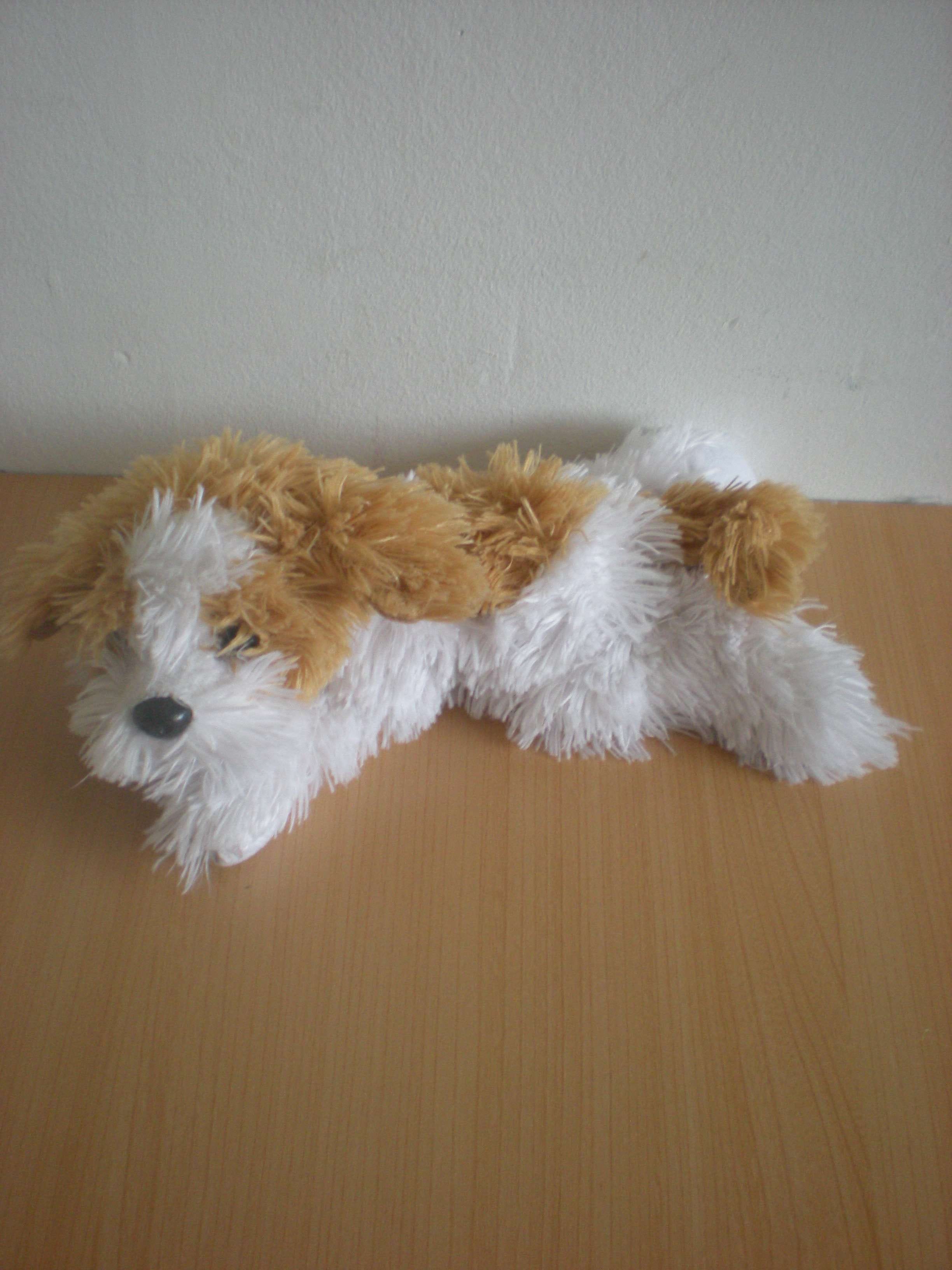 Chien Blanc marron Gipsy