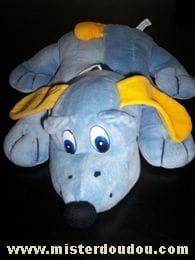 Chien Bleu-jaune Gipsy