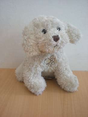 Chien Ecru Gipsy