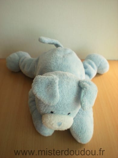Chien Bleu blanc Gund