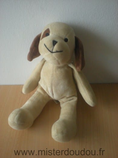 Chien Beige marron H et m