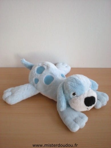 Chien Bleu ventre blanc H et m