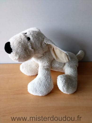 Chien Blanc beige nez noir Lbp