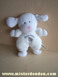 Chien Blanc Luminou