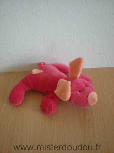 Chien Rouge orange Marese