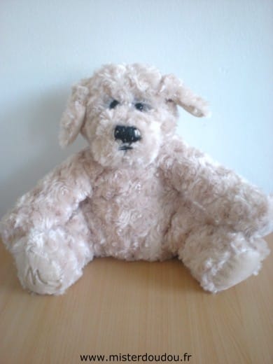 Chien Beige Marionnaud