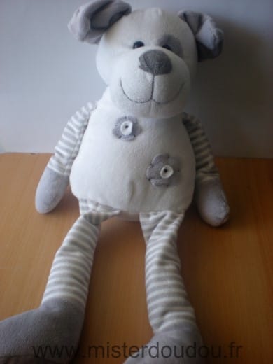 Chien Blanc gris jambes rayes Maxita