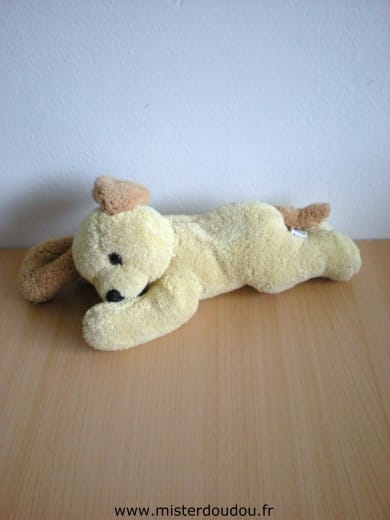 Chien Jaune marron Maxita