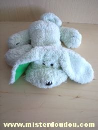 Chien Vert Maxita