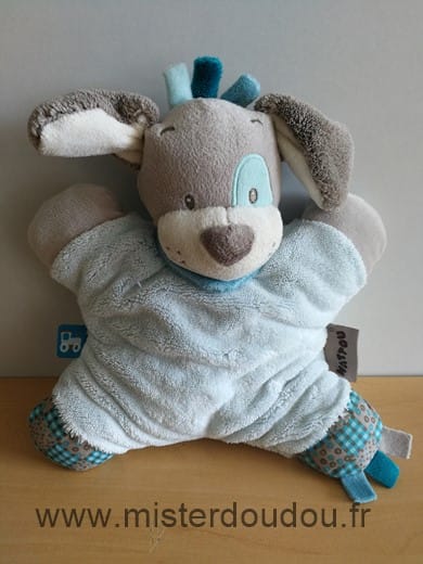 Chien Bleu cyril semi plat Nattou
