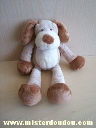Chien Beige marron Nicotoy