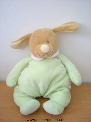 Chien Vert marron Noukie s