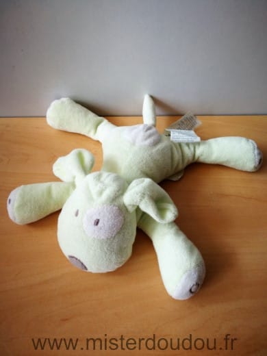 Chien Vet blanc Obaibi okaidi