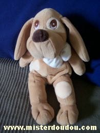 Chien Marron Priscilla larsen