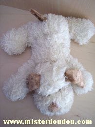 Chien Ecru ventre blanc Startoy