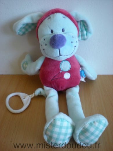 Chien Bleu rouge Tex