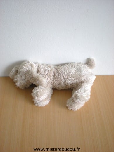 Chien Beige Theophile et patachou