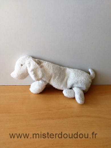 Chien Blanc Theophile et patachou