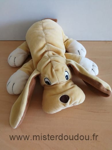Chien Jaune Yves rocher