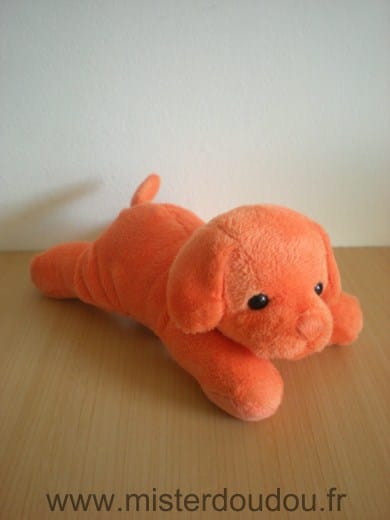 Chien Orange Marque Inconnue