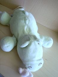 Crocodile Vert Jacadi