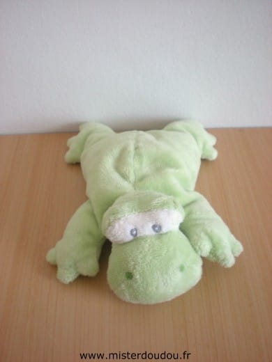 Grenouille Vert Marque Inconnue