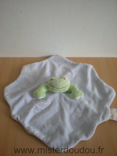 Grenouille Bleu vert Noukie s