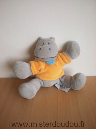 Hippopotame Gris pull orange Influx