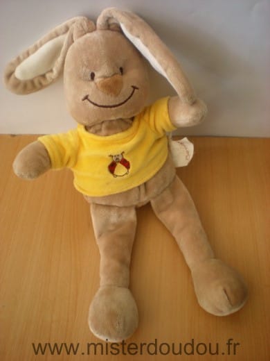 Lapin Beige jaune Bengy