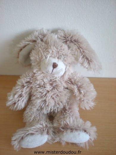 Lapin Beige Gipsy