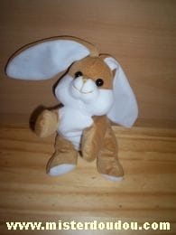 Lapin Blanc marron Gipsy