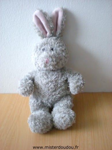 Lapin Gris rose Gipsy