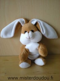Lapin Marron blanc Gipsy