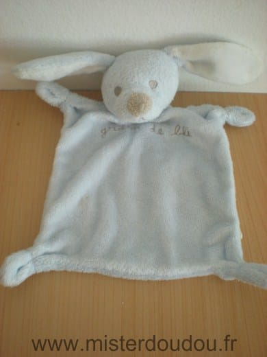 Lapin Bleu nez beige Grain de ble