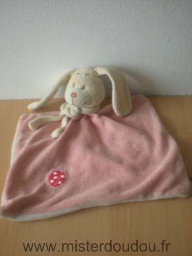 Lapin Rose coccinelle rouge Tex