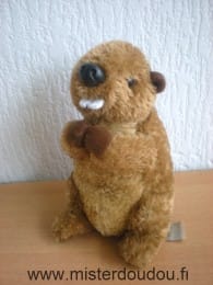Marmotte Marron Happy horse