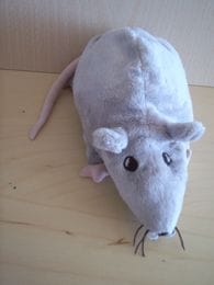 Rat Gris Ikéa