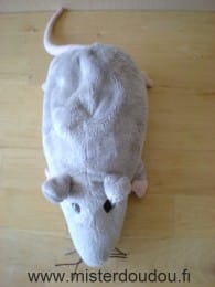 Rat Gris Ikéa