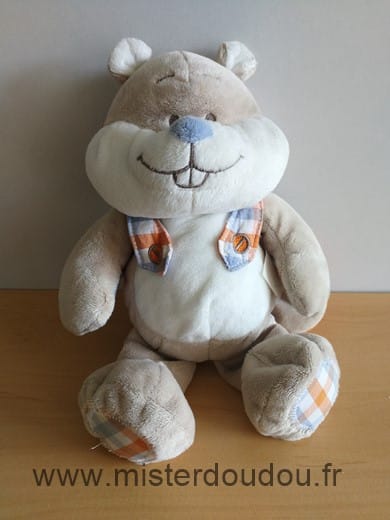 Raton laveur Beige blanc Noukie s
