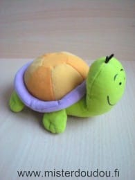 Tortue Vert orange violet Atlas