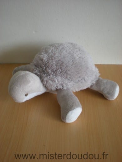 Tortue Gris blanc Bnp