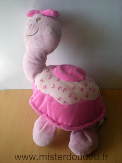 Tortue Rose Gerca