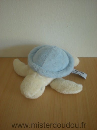 Tortue Ecru bleu Marineland