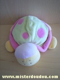 Tortue Vert rose jaune Tex