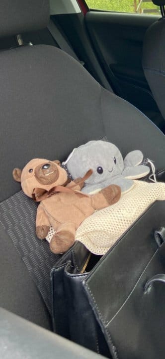 Doudou Castor