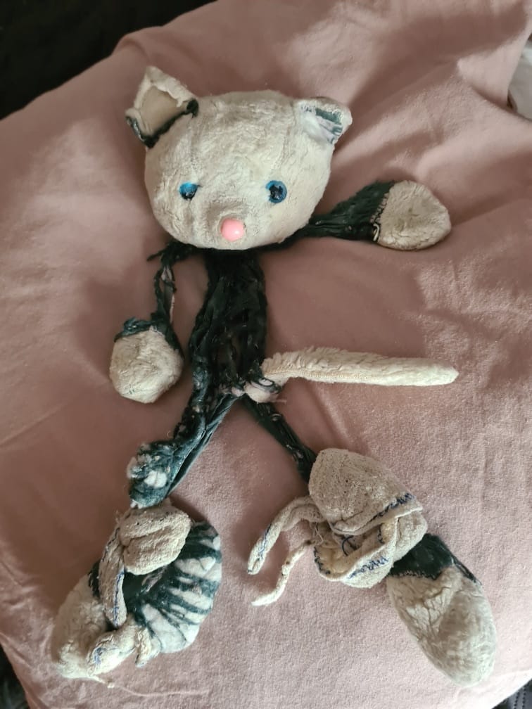 Recherche ancienne peluche chat