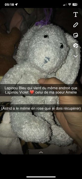 Lapin bleu et lapin violet