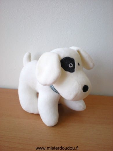 Chien Blanc cocard à l'oeil droit Berlingot