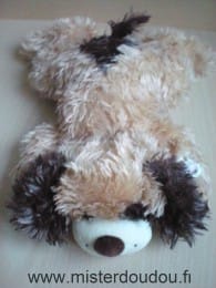 Chien Beige marron Gipsy