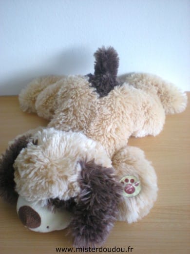 Chien Beige marron Gipsy